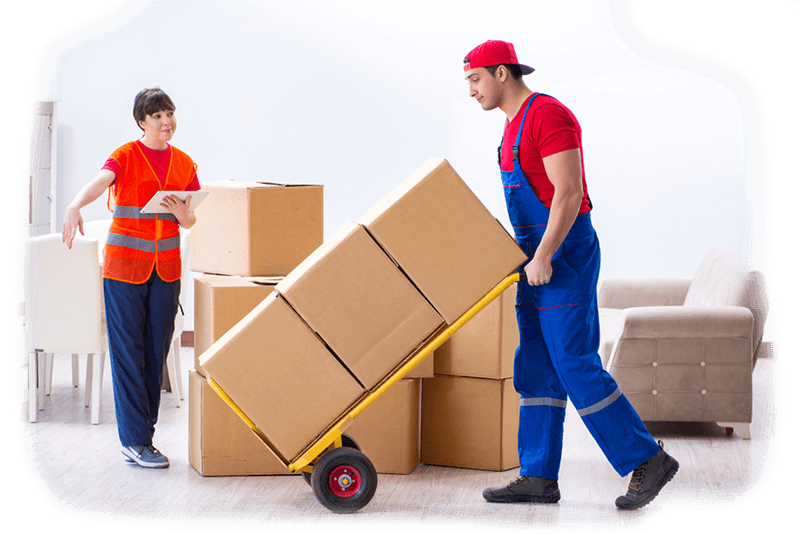 Packers and Movers in Jangalpur